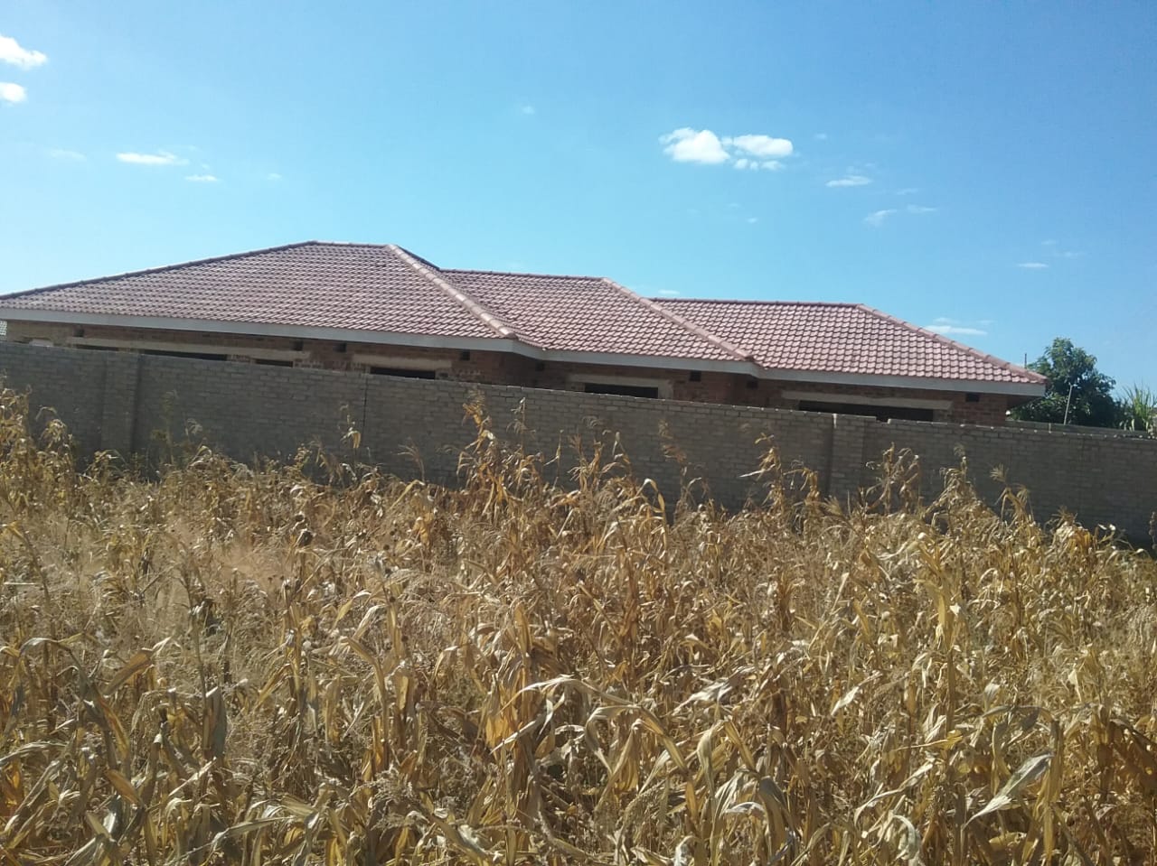 Roof Project 12